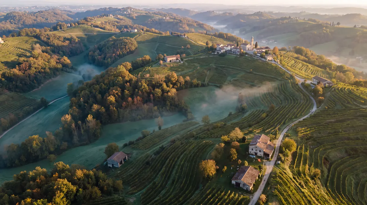 Ca' dei Colli, aerial view of the hills, vineyards and morning mist